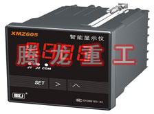 溫度表、數(shù)字顯示儀、濕度表