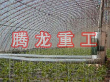大棚花卉供暖設(shè)備、大棚卉采暖設(shè)備、大棚花卉取暖設(shè)備