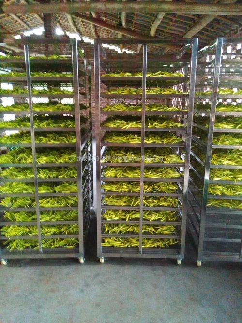 黃花菜烘干機(jī)、黃花菜烘干設(shè)備、黃花菜干燥機(jī)、黃花菜干燥設(shè)備、